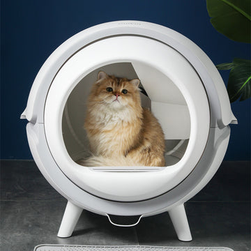 Automatic Smart Large Cat Litter Box With A Cat