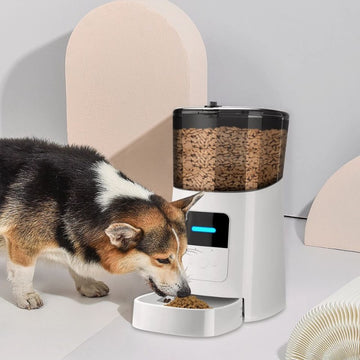 Intelligenter Futterautomat für Haustiere