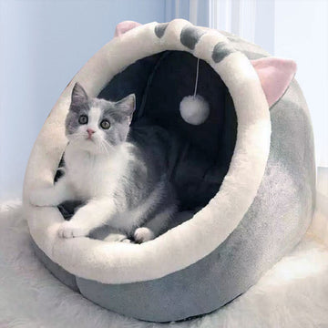 Cute Cartoon Cat House With A Kitten